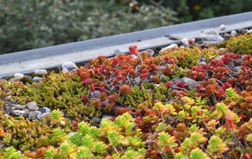 the cost of Mayhill green roof installation